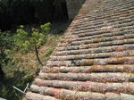SX28215 Roof tiles Carcassonne Castle.jpg